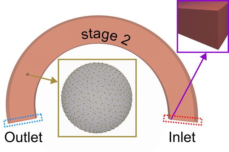 Dynamics of White Blood Cell in Curved Microchannels with Trapezoidal Cross-Section